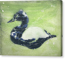 Load image into Gallery viewer, Chesapeake Decoy III- Canvas Print