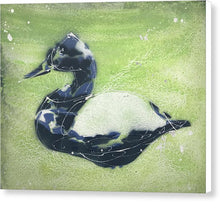 Load image into Gallery viewer, Chesapeake Decoy III- Canvas Print