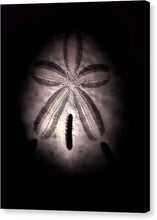 Load image into Gallery viewer, Sea Fragment XI - Canvas Print by Ryan Hopkins