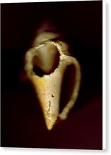 Load image into Gallery viewer, Sea Fragment XIII - Canvas Print by Ryan Hopkins