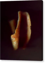 Load image into Gallery viewer, Sea Fragment XVI - Canvas Print by Ryan Hopkins