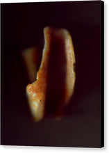 Load image into Gallery viewer, Sea Fragment XVI - Canvas Print by Ryan Hopkins