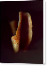 Load image into Gallery viewer, Sea Fragment XVI - Canvas Print by Ryan Hopkins