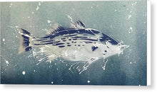 Load image into Gallery viewer, Chesapeake Bay Rockfish I - Canvas Print