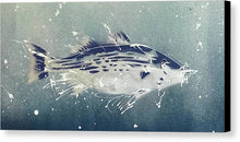 Load image into Gallery viewer, Chesapeake Bay Rockfish I - Canvas Print