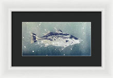 Load image into Gallery viewer, Chesapeake Bay Rockfish I - Framed Print