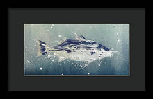 Load image into Gallery viewer, Chesapeake Bay Rockfish I - Framed Print