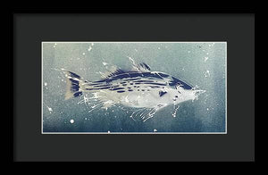 Chesapeake Bay Rockfish I - Framed Print