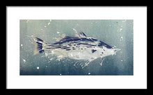 Load image into Gallery viewer, Chesapeake Bay Rockfish I - Framed Print