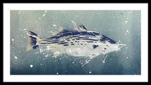 Load image into Gallery viewer, Chesapeake Bay Rockfish I - Framed Print