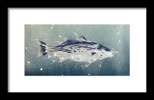 Chesapeake Bay Rockfish I - Framed Print