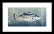 Load image into Gallery viewer, Chesapeake Bay Rockfish I - Framed Print