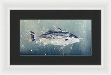 Load image into Gallery viewer, Chesapeake Bay Rockfish I - Framed Print