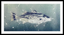 Load image into Gallery viewer, Chesapeake Bay Rockfish I - Framed Print