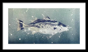 Chesapeake Bay Rockfish I - Framed Print