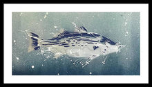 Load image into Gallery viewer, Chesapeake Bay Rockfish I - Framed Print