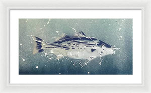 Chesapeake Bay Rockfish I - Framed Print