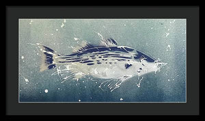 Chesapeake Bay Rockfish I - Framed Print