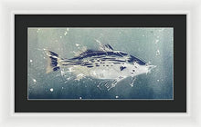 Load image into Gallery viewer, Chesapeake Bay Rockfish I - Framed Print