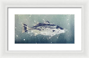 Chesapeake Bay Rockfish I - Framed Print