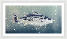 Load image into Gallery viewer, Chesapeake Bay Rockfish I - Framed Print