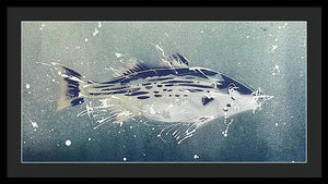 Chesapeake Bay Rockfish I - Framed Print