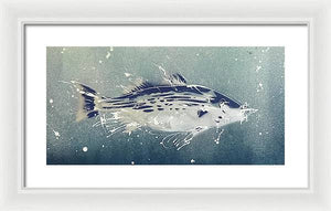 Chesapeake Bay Rockfish I - Framed Print