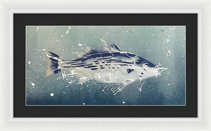 Chesapeake Bay Rockfish I - Framed Print