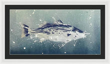 Load image into Gallery viewer, Chesapeake Bay Rockfish I - Framed Print