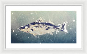 Chesapeake Bay Rockfishh II - Framed Print