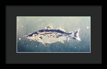 Load image into Gallery viewer, Chesapeake Bay Rockfishh II - Framed Print