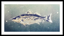 Load image into Gallery viewer, Chesapeake Bay Rockfishh II - Framed Print