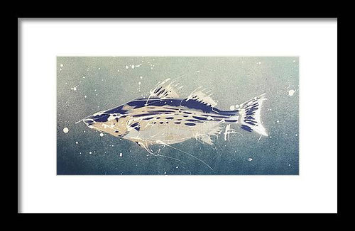 Chesapeake Bay Rockfishh II - Framed Print