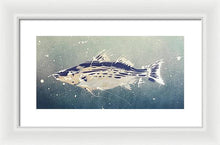 Load image into Gallery viewer, Chesapeake Bay Rockfishh II - Framed Print