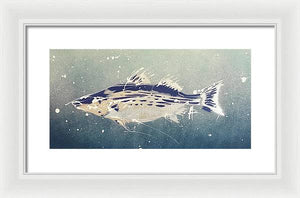 Chesapeake Bay Rockfishh II - Framed Print