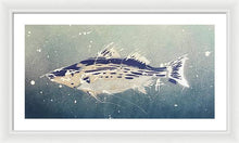 Load image into Gallery viewer, Chesapeake Bay Rockfishh II - Framed Print