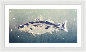 Chesapeake Bay Rockfishh II - Framed Print