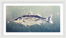 Load image into Gallery viewer, Chesapeake Bay Rockfishh II - Framed Print