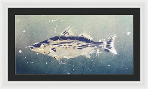 Chesapeake Bay Rockfishh II - Framed Print