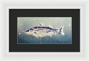 Chesapeake Bay Rockfishh II - Framed Print