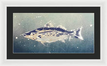 Load image into Gallery viewer, Chesapeake Bay Rockfishh II - Framed Print