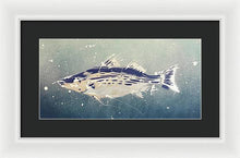 Load image into Gallery viewer, Chesapeake Bay Rockfishh II - Framed Print