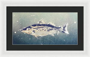 Chesapeake Bay Rockfishh II - Framed Print