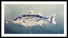 Load image into Gallery viewer, Chesapeake Bay Rockfishh II - Framed Print