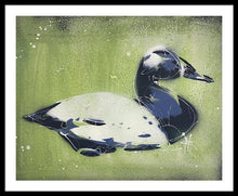 Load image into Gallery viewer, Chesapeake Decoy IV - Framed Print