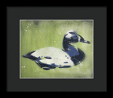 Load image into Gallery viewer, Chesapeake Decoy IV - Framed Print