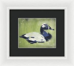 Chesapeake Decoy IV - Framed Print