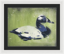 Load image into Gallery viewer, Chesapeake Decoy IV - Framed Print