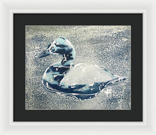 Load image into Gallery viewer, Chesapeake Decoy VII - Framed Print