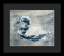 Load image into Gallery viewer, Chesapeake Decoy VII - Framed Print